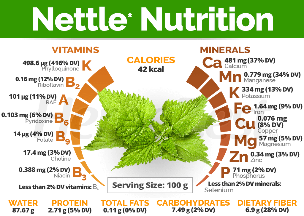 荨麻2 营养成分