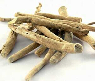 南非醉茄提取物