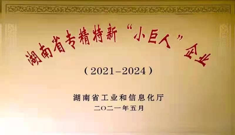 华康小巨人证书2021-2024(1)