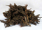 普洱茶提取物