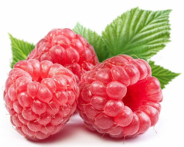 覆盆子提取物