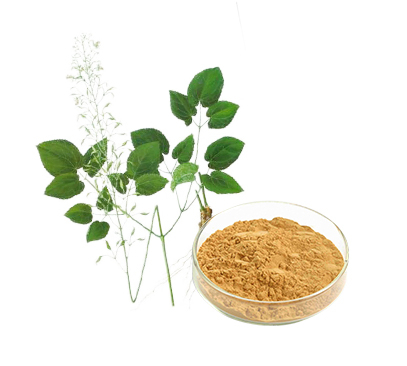 淫羊藿提取物