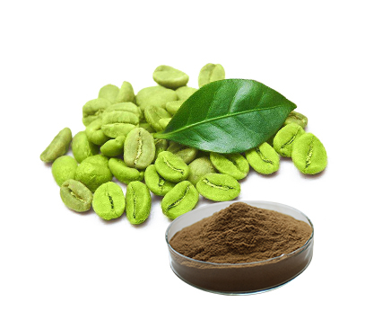 绿咖啡豆提取物