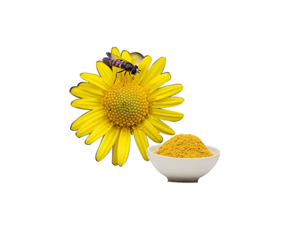 蜂花粉