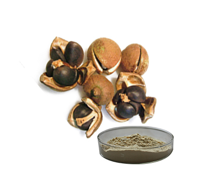 茶籽提取物