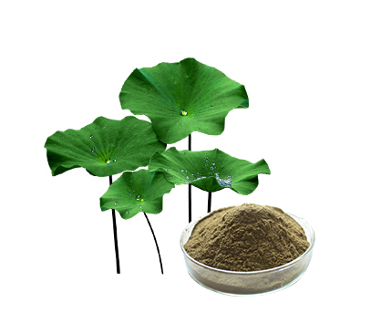 荷叶提取物