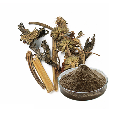 益母草提取物