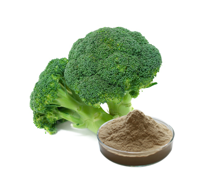 西兰花提取物