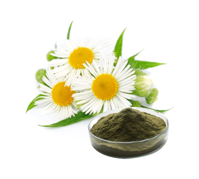 洋甘菊提取物