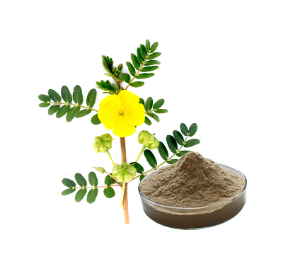 刺蒺藜提取物