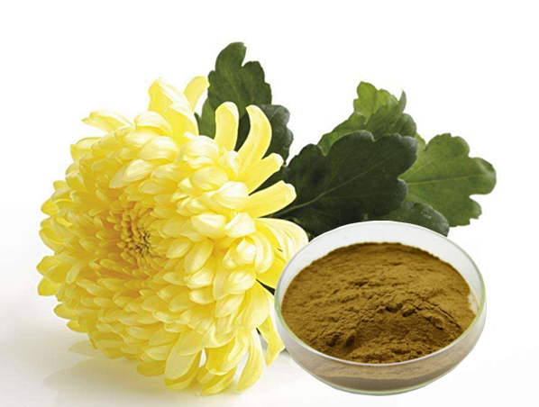 菊花提取物